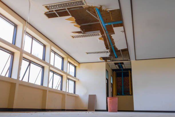 Best Professional water damage repair  in Canutillo, TX