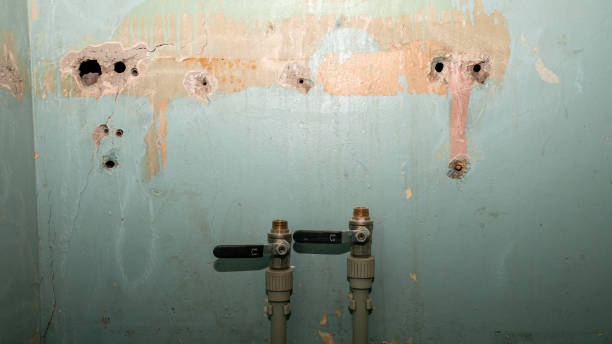 Best Fire Damage Restoration  in Canutillo, TX